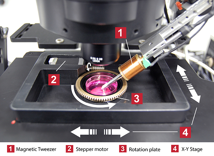 Rotation stage